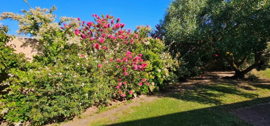 4 Bedroom Property for Sale in Myburgh Park Western Cape